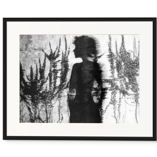 Shadow Silhouette with Ferns, c1980